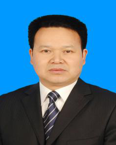 文卫 文卫